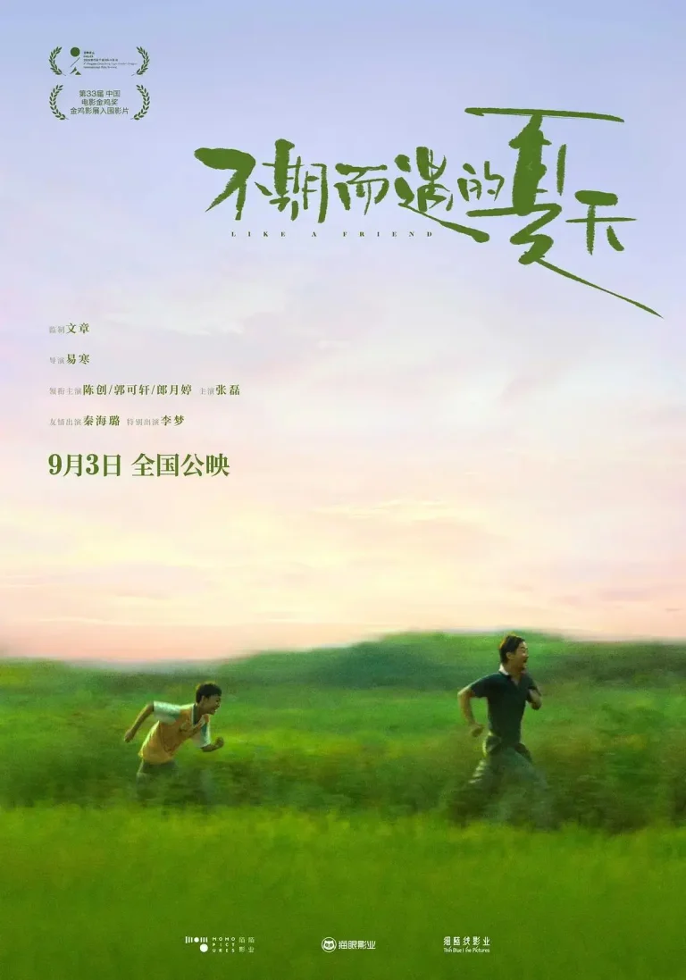 《不期而遇的夏天》全集高清完整版在线观看与剧情解析