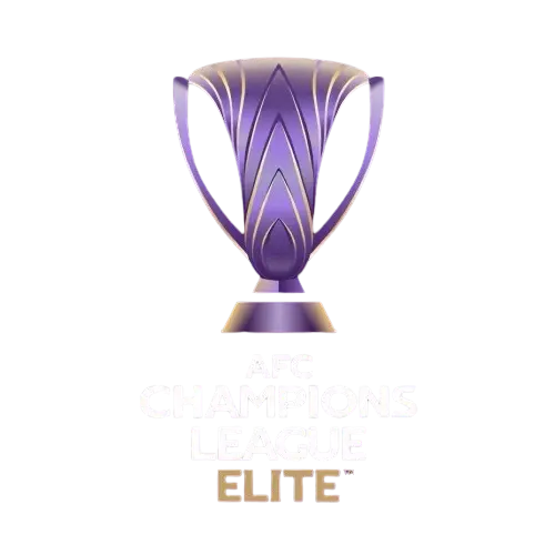 亚冠精英赛 中央海岸水手vs横滨水手20241203