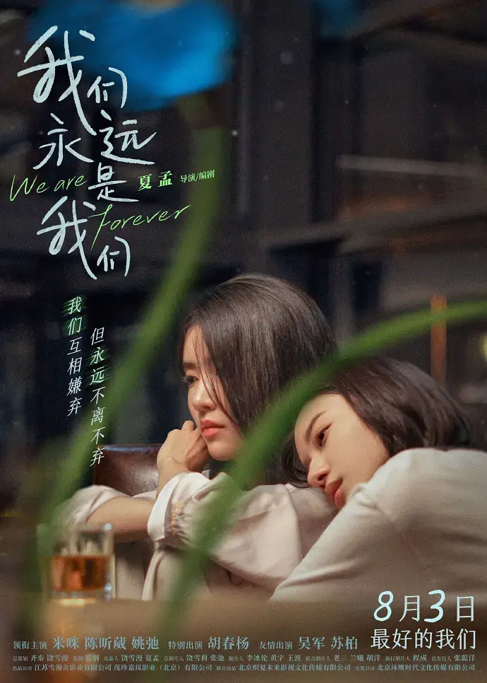 《我们永远是我们》全集高清完整版在线观看与剧情解析