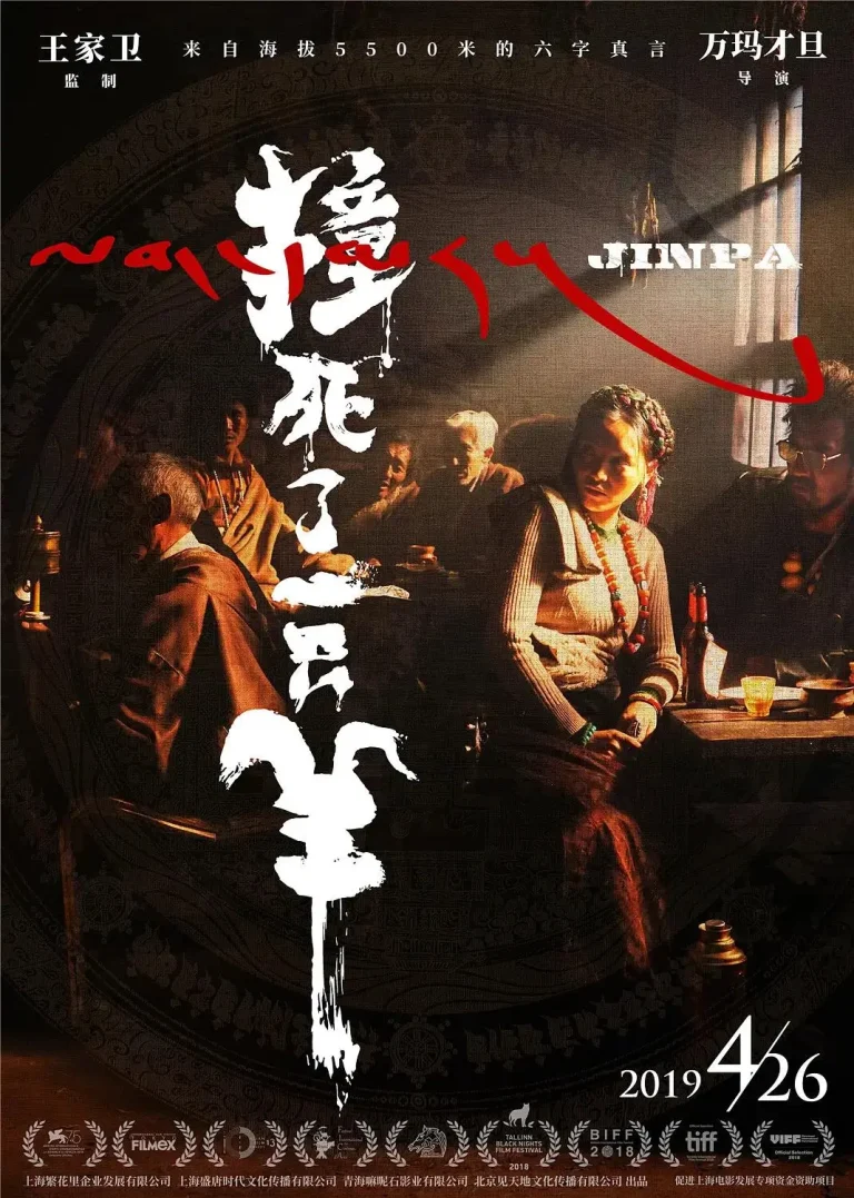 《撞死了一只羊》全集高清完整版在线观看与剧情解析