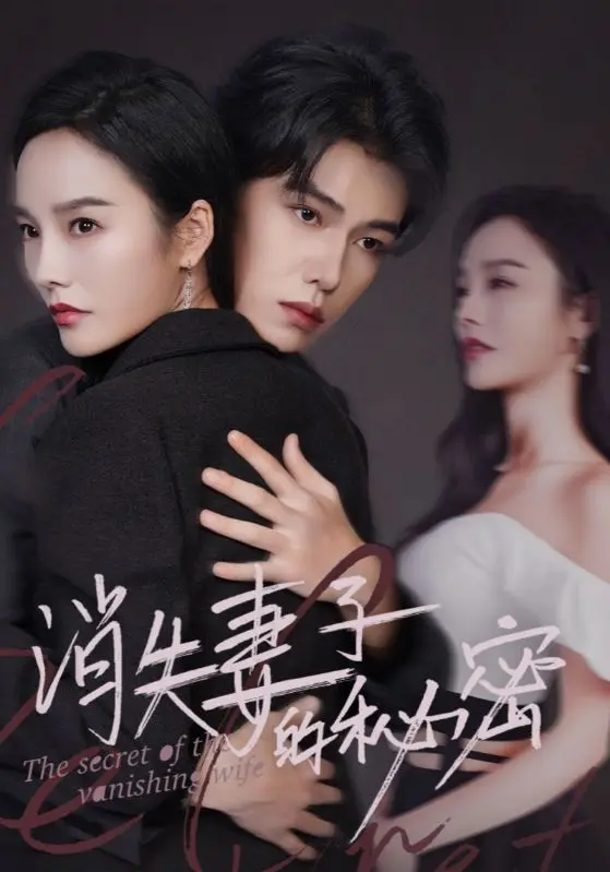《消失妻子的秘密》全集高清完整版在线观看与剧情解析