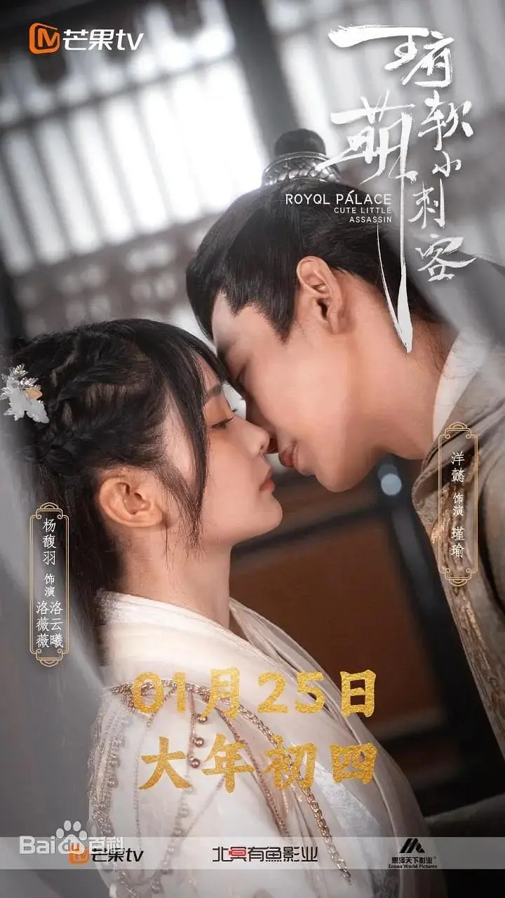《王府软萌小刺客》全集高清完整版在线观看与剧情解析