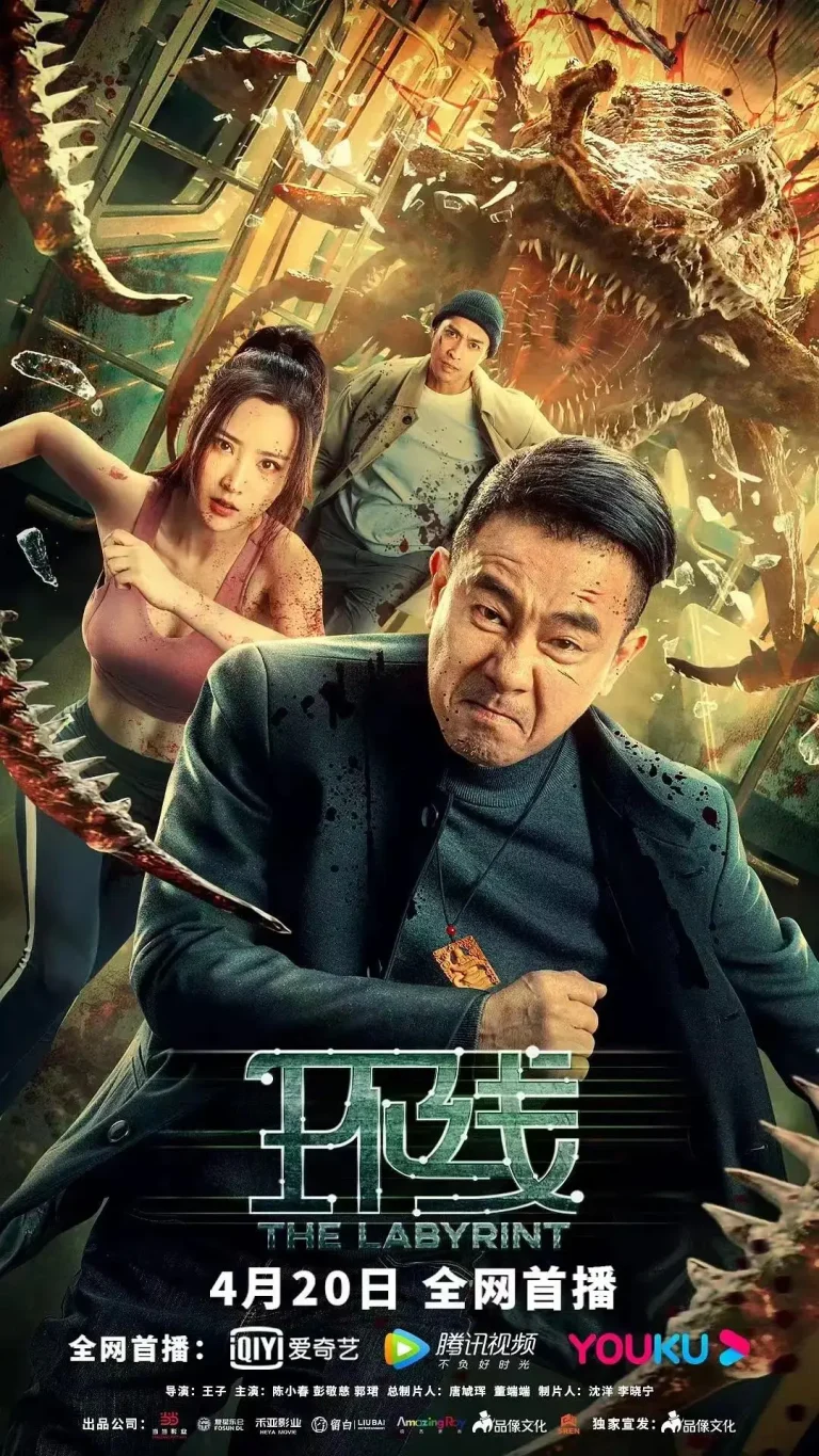 《环线》全集高清完整版在线观看与剧情解析