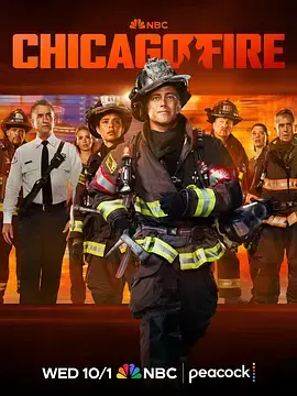 《芝加哥烈焰第十四季》全集高清完整版在线观看与剧情解析