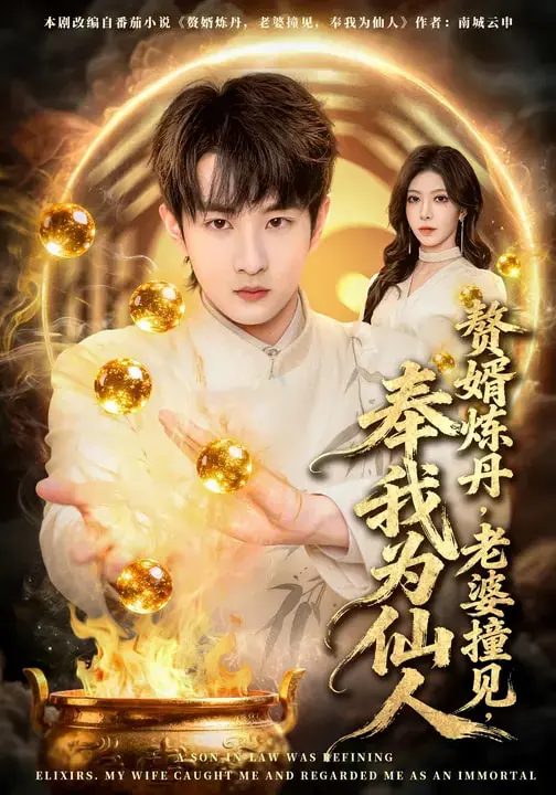 《赘婿炼丹，老婆撞见，奉我为仙人》全集高清完整版在线观看与剧情解析
